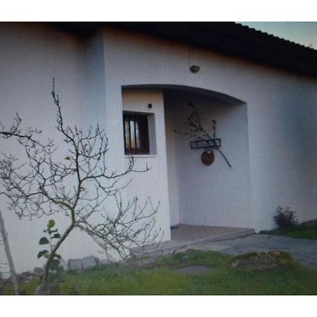 Appartamento In Villa Con Giardino A 300M Dal Lago Maggiore Castelletto sopra Ticino Exterior foto